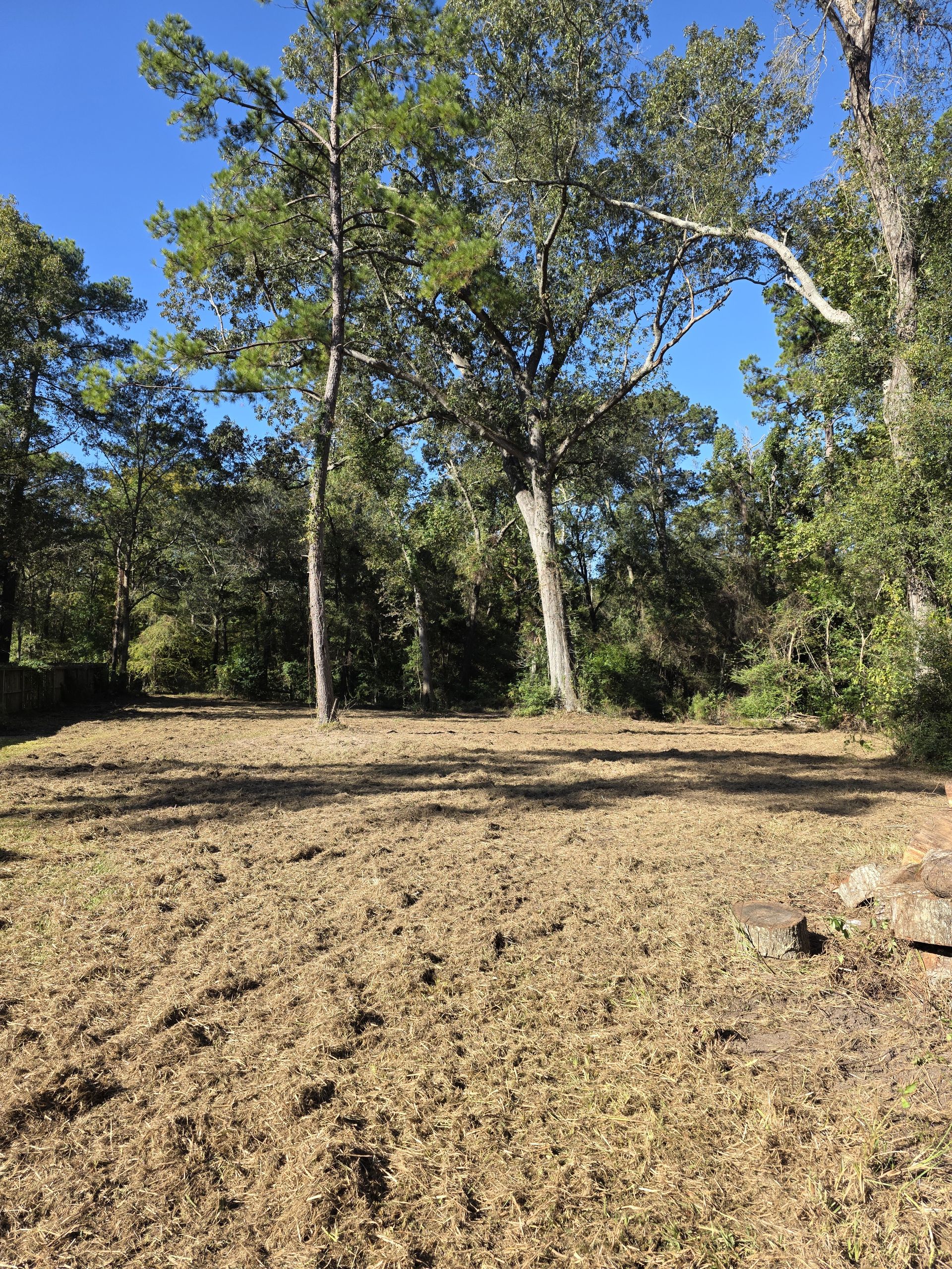 Land Clearing project 4