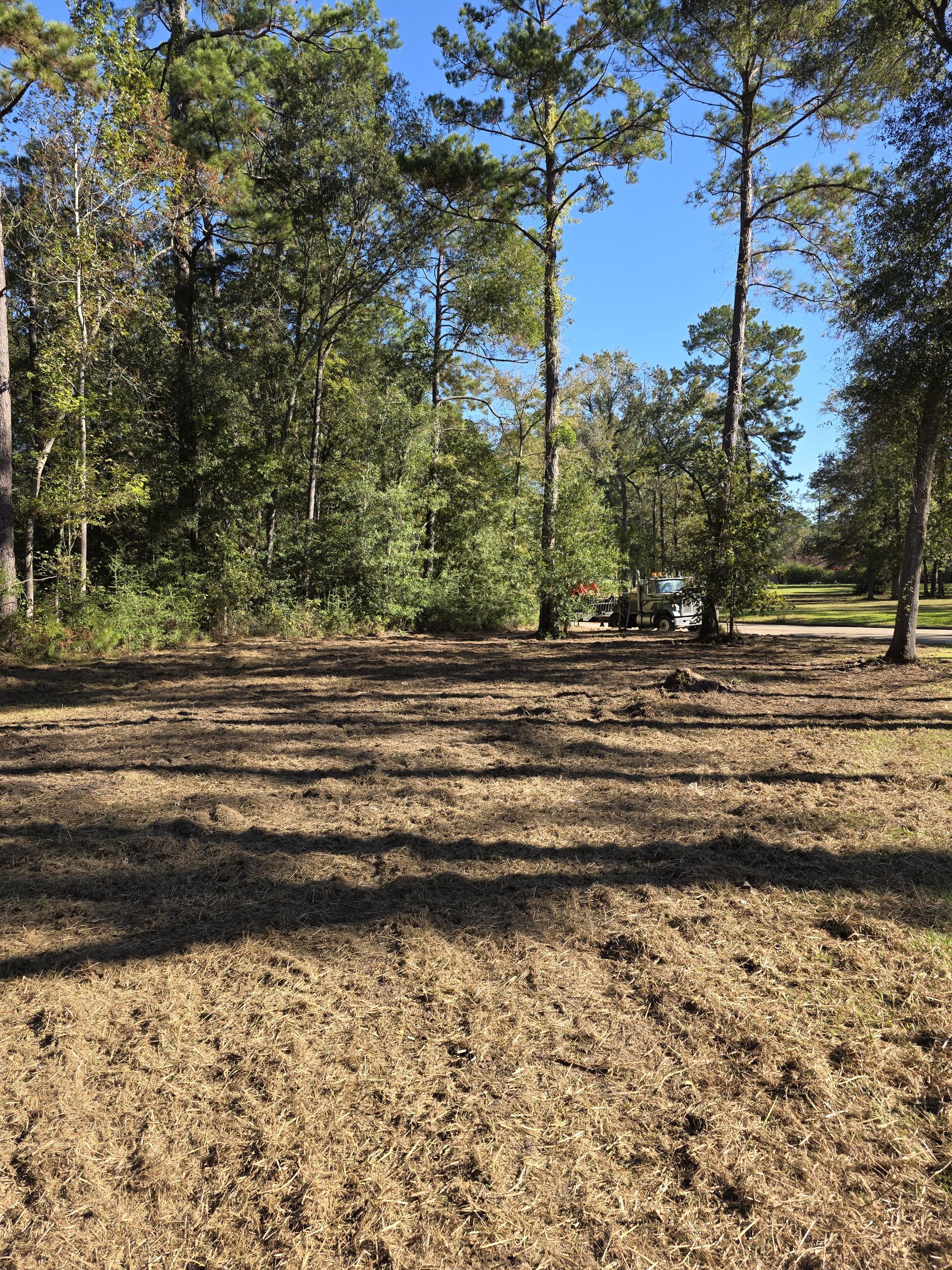 Land Clearing project 5