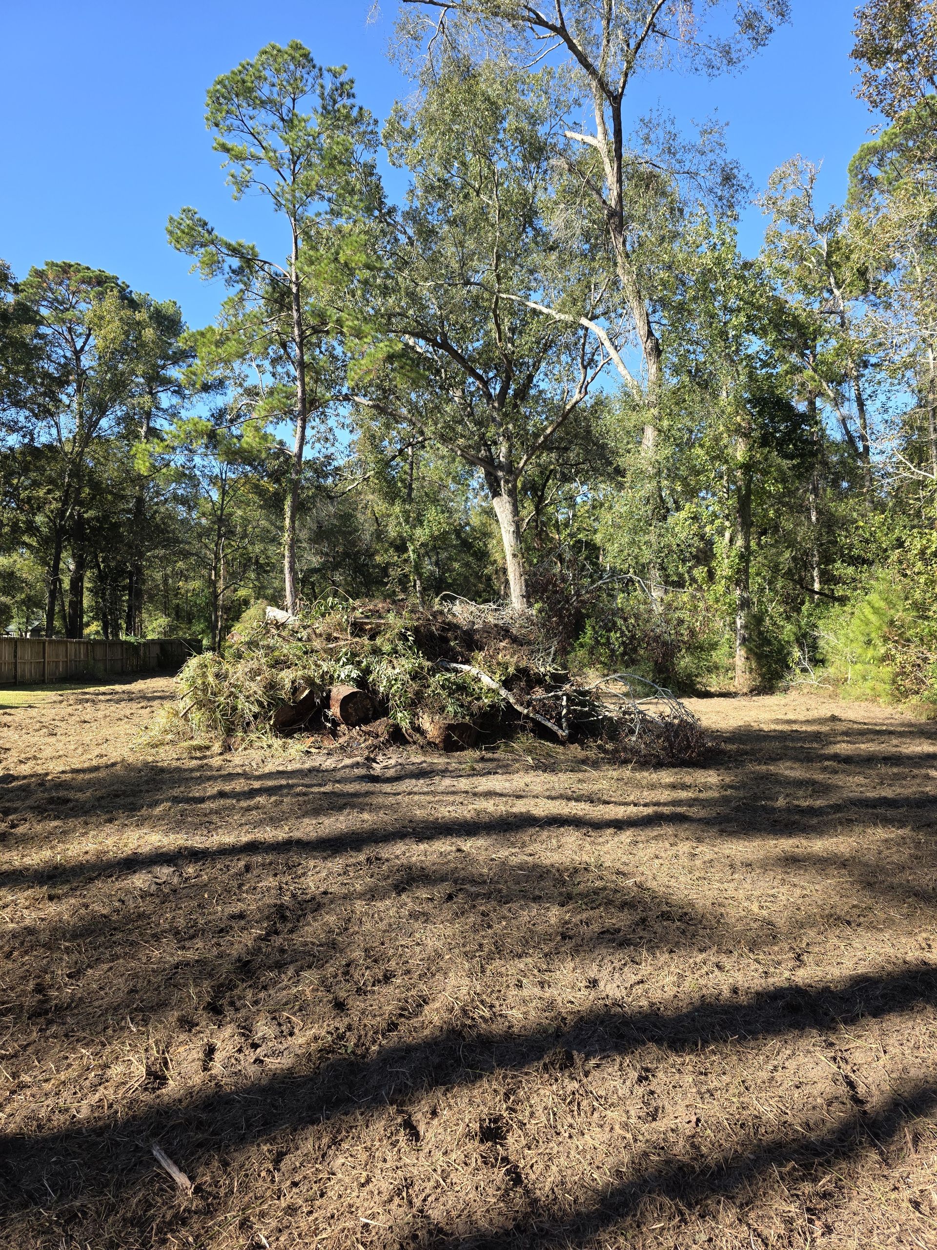Land Clearing project 6