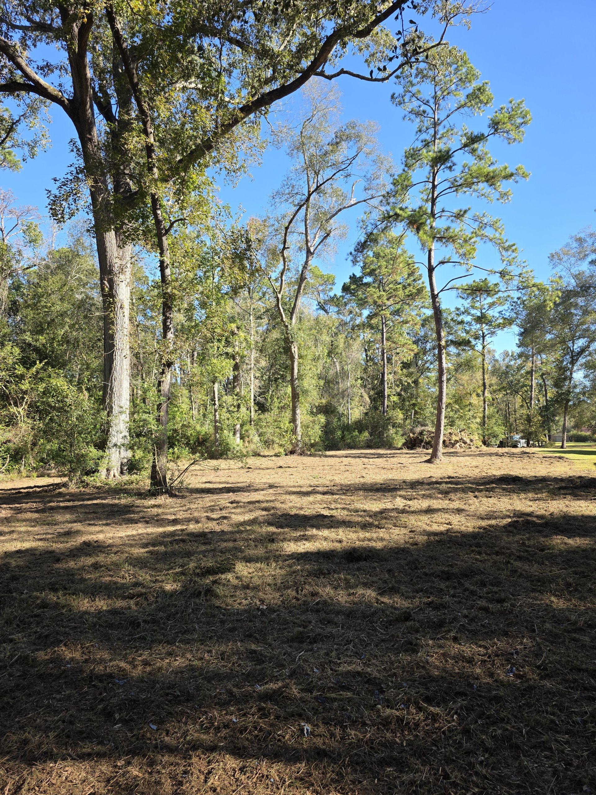 Tree Service project 4