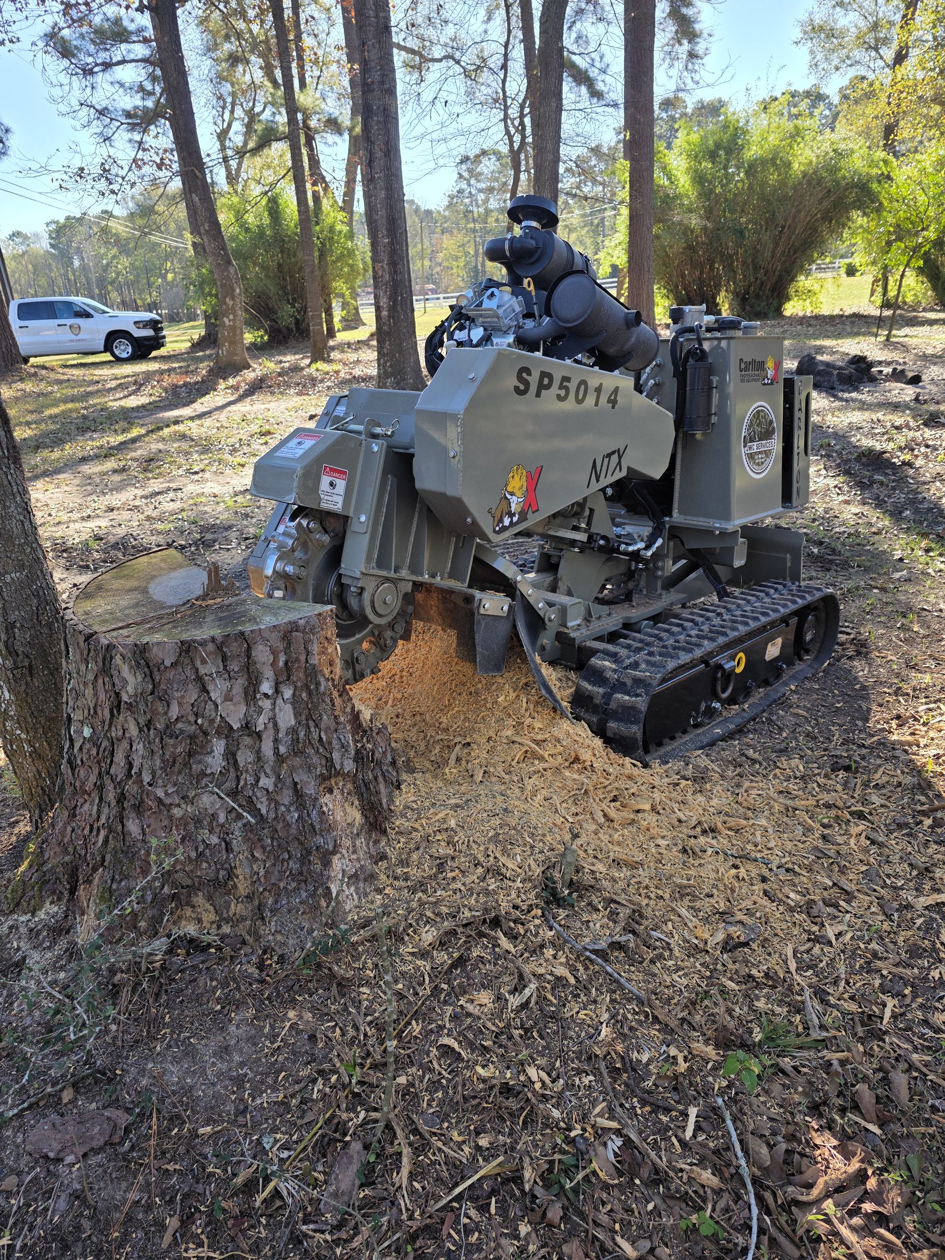 Tree and Stump Services